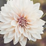 12bet官方手机版功能全面解析与常见问题解决方法 d1yj7