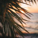 7m体育即时比分带来最新赛事事实时更新与深度观察 fyh17eptr