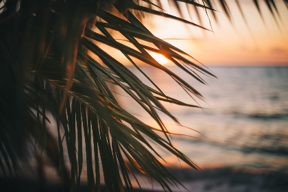 7m体育即时比分带来最新赛事事实时更新与深度观察