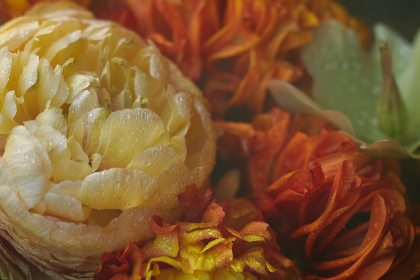 24K游戏新纪元：黄金级电竞风暴全面解析