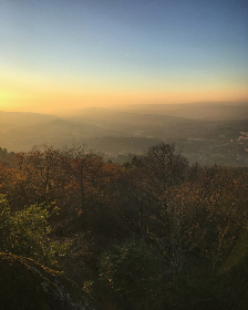 betball官方app赛事直播功能介绍与使用场景