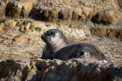 365足球比赛直播赛事汇总与热门场次观赛指南与观众互动