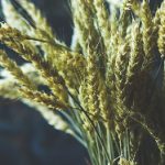 90ko即时足球比分网为你提供全方位的比赛实时数据与精准比分 lb15sv44